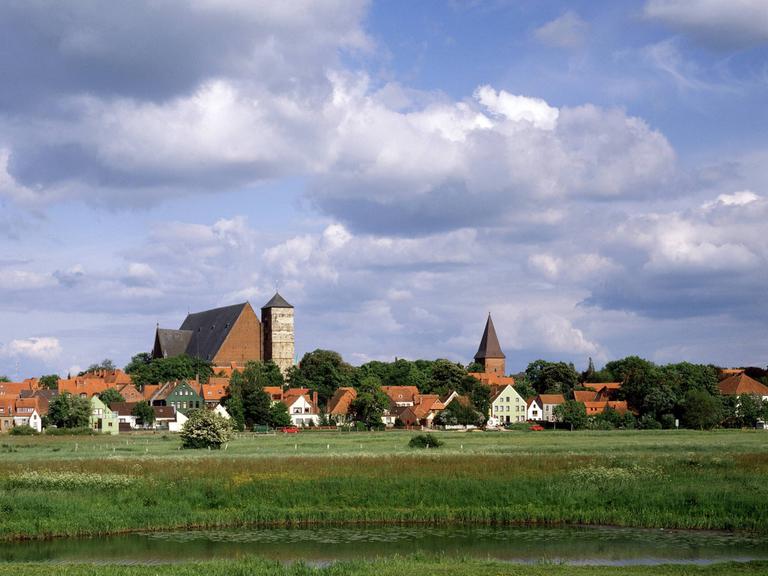 Blick über die Wiesen zum Fluss Aller hin, an dessen Ufer die Stadt Verden liegt.