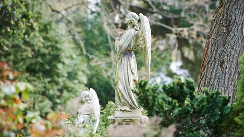 Zwei Engel stehen als Grabzierde im Friedrichswerderschen Friedhof an der Bergmannstrasse.