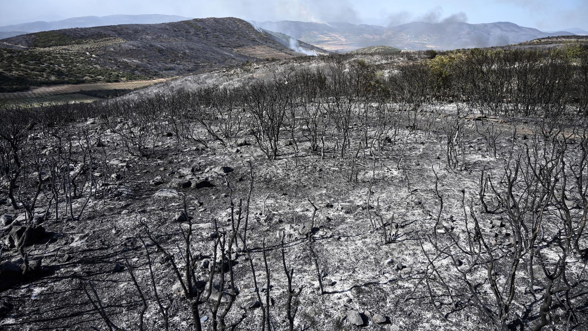 Blick über die völlig verbrannte Landschaft in der Nähe der Stadt Volos in Griechenland.