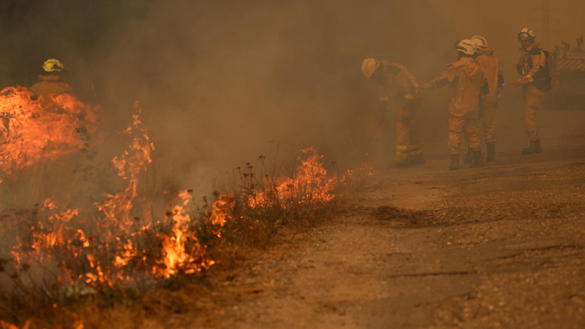 Das Bild zeigt mehrere Feuerwehrleute in einem Waldgebiet. Ihnen gegenüber ist brennende Vegetation zu sehen. Die Szenerie wird getrübt von dichtem Rauch. Das Bild zeigt mehrere Feuerwehrleute in einem Waldgebiet. Ihnen gegenüber ist brennende Vegetation zu sehen. Die Szenerie wird getrübt von dichtem Rauch.