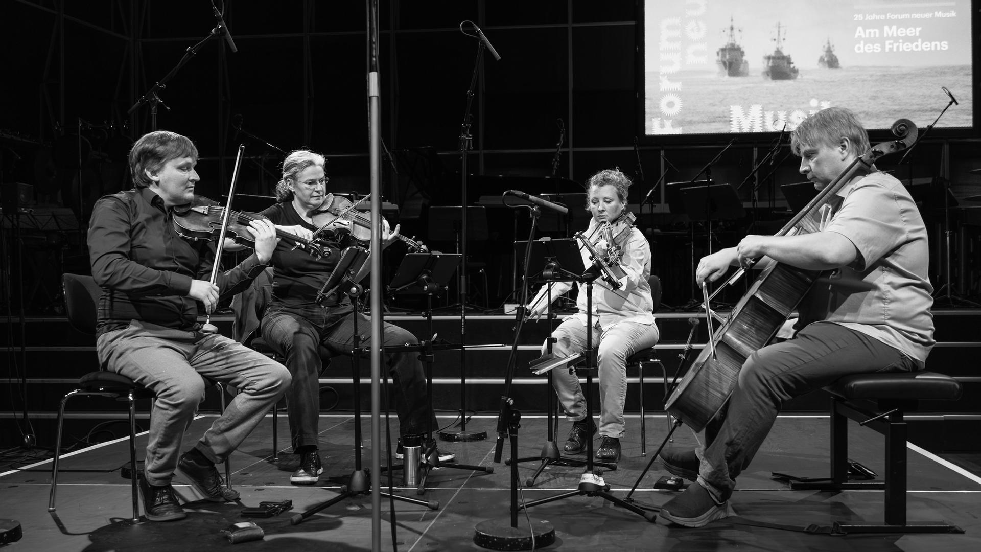 Das Asasello Quartett sitzt auf einer Bühne mit etlichen Mikrofonen und spielt konzentriert.
