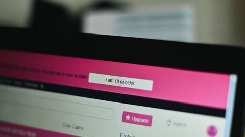 Auf einer Internetseite mit pornographischen Inhalten erscheint eine Box, die das Alter des Nutzers abfragt.