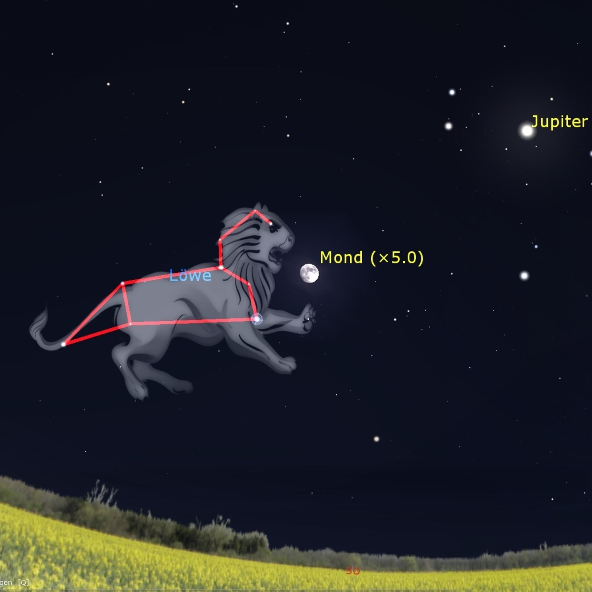 Berühmtes Sternbild - Der schrecklich schöne himmlische Löwe