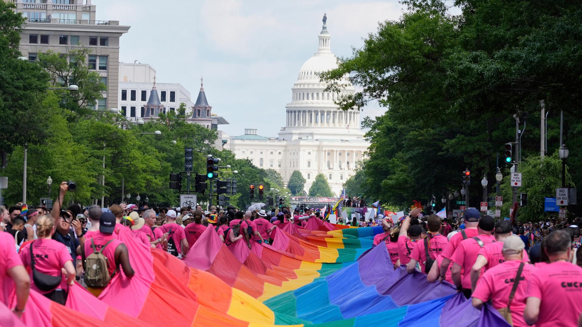 Washington: Menschen tragen eine Pride-Fahne während der World Pride Parade.