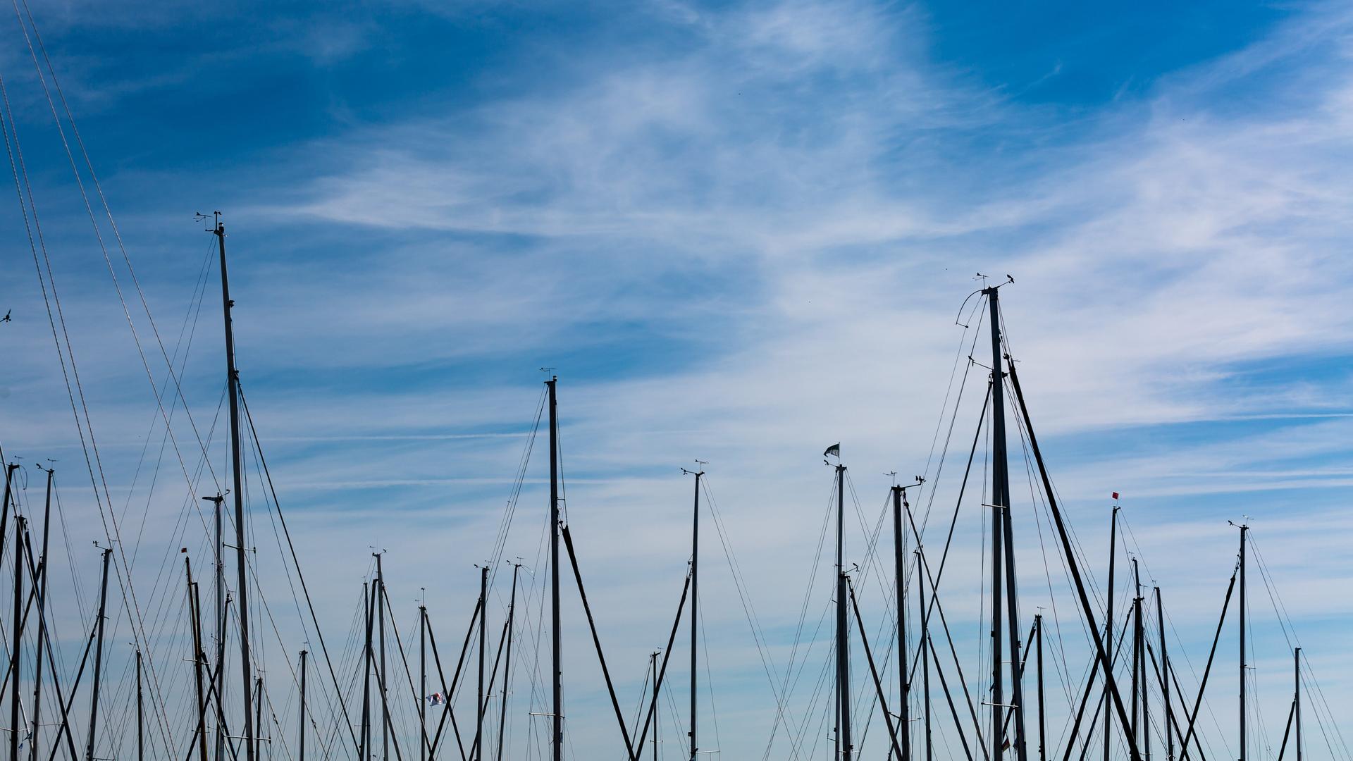 Die Masten von Segelbooten ragen am Hafen von Konstanz in den Himmel.