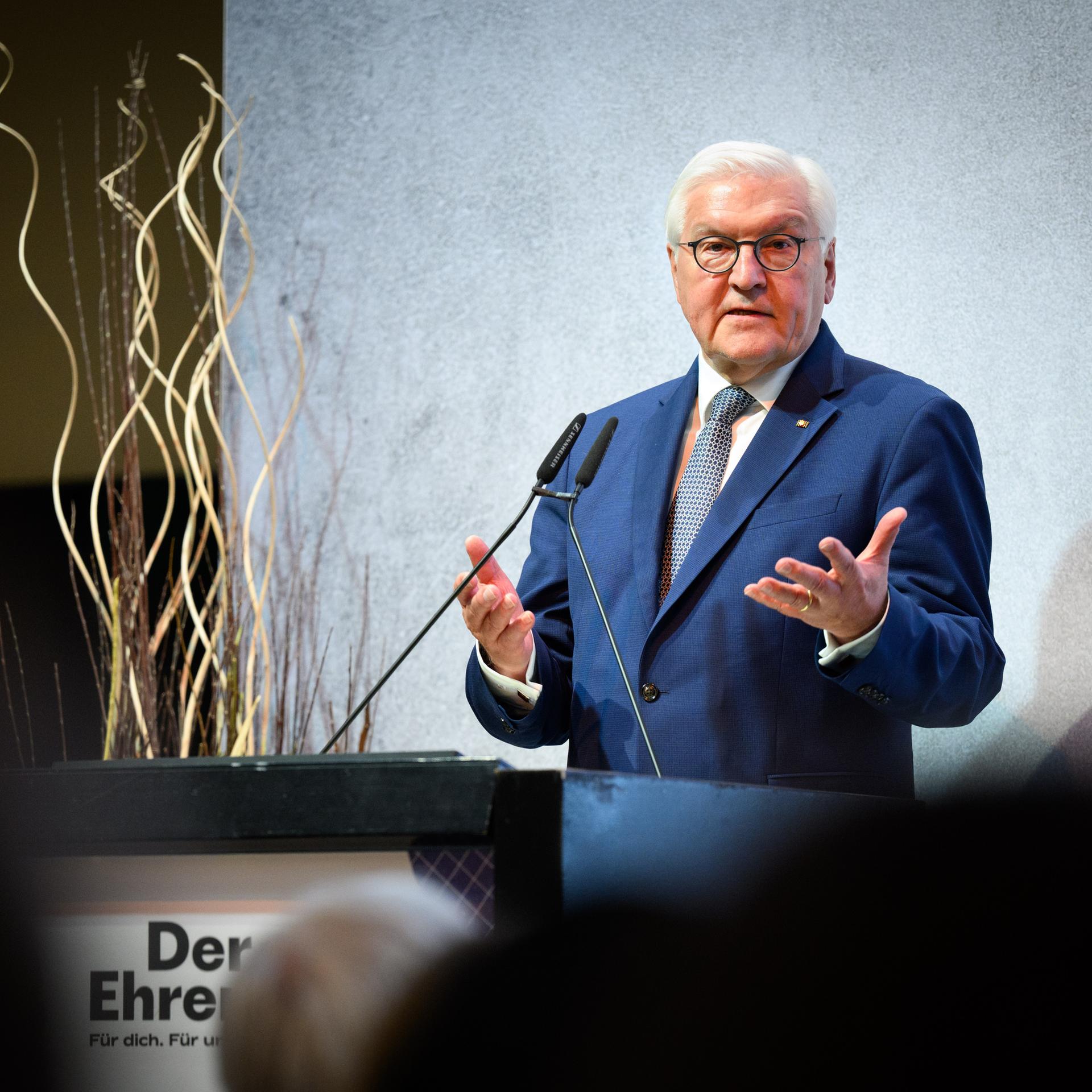 Grundgesetztag - Steinmeier ruft zum Engagement für Demokratie auf