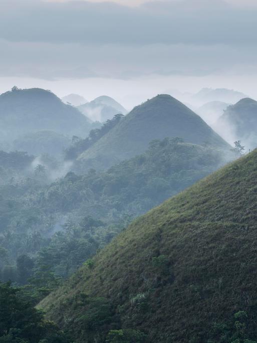 Panoramablick auf die Chocolate Hills auf der Insel Bohol auf den Philippinen bei Sonnenaufgang mit Dunst und Nebel.