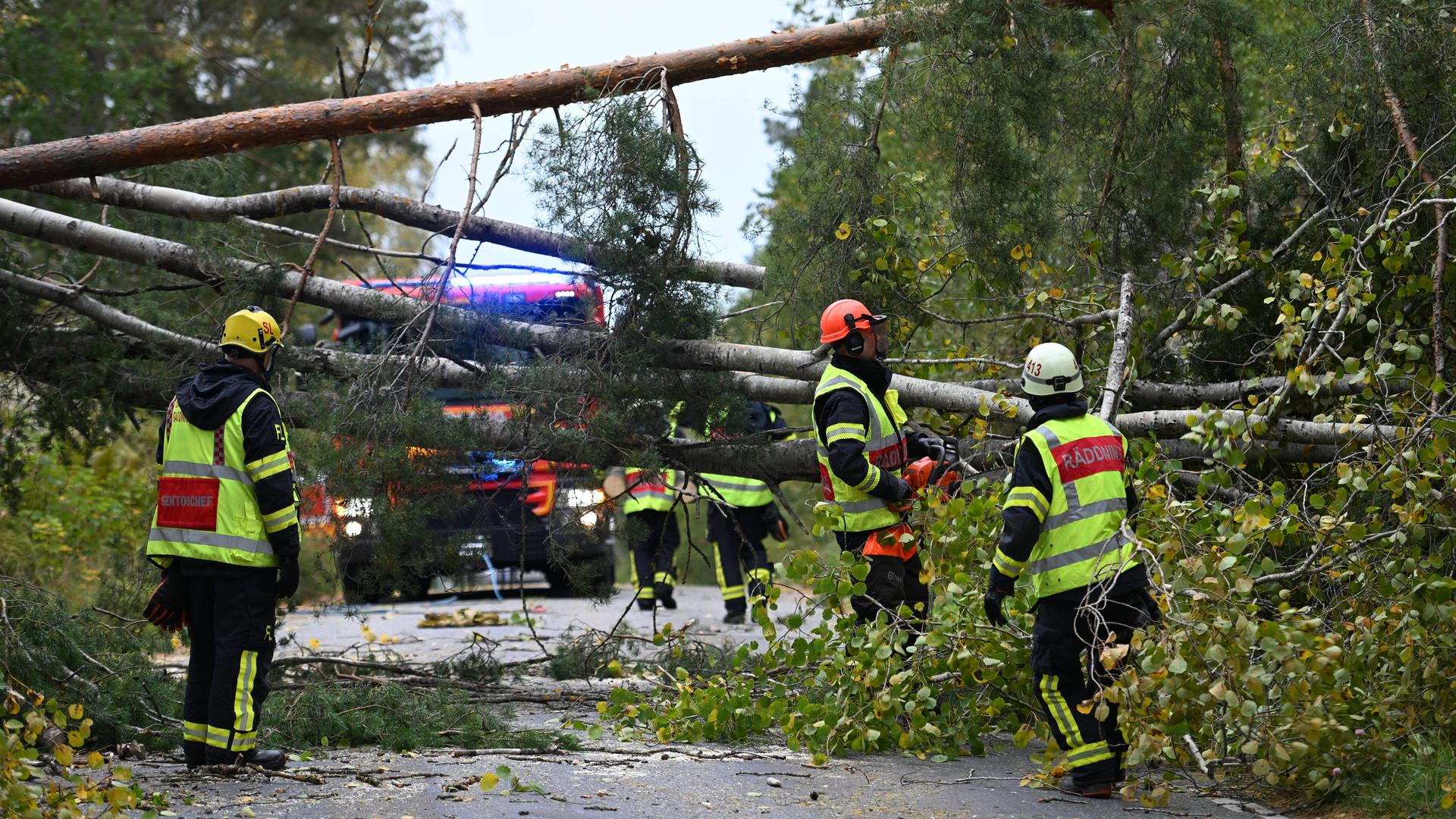 Mehrere Feuerwehrleute stehen auf einer Straße und beseitigen umgekippte Bäume.