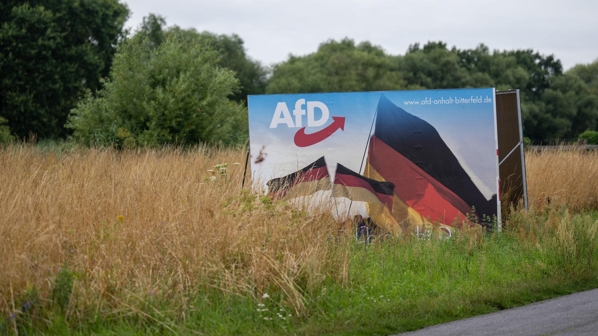 Ein Wahlplakat der AfD steht in einer Wiese bei Bitterfeld. Auf dem großen Plakat sind Deutschlandfahnen abgebildet.