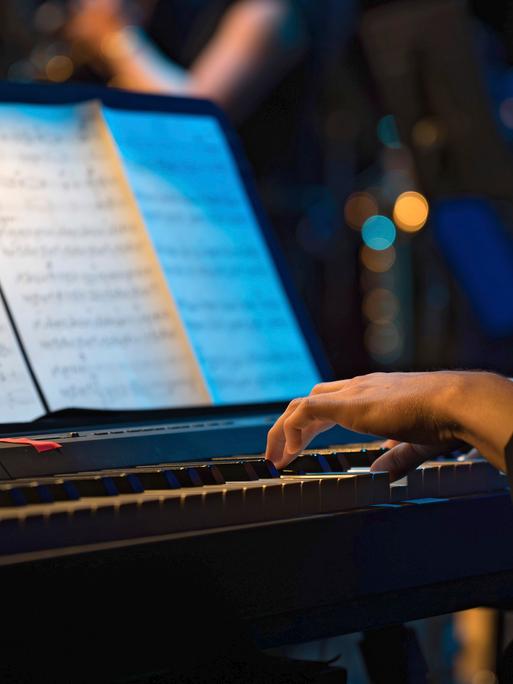Musiker am Klavier im Theater an der Ilmenau. (Symbolfoto)