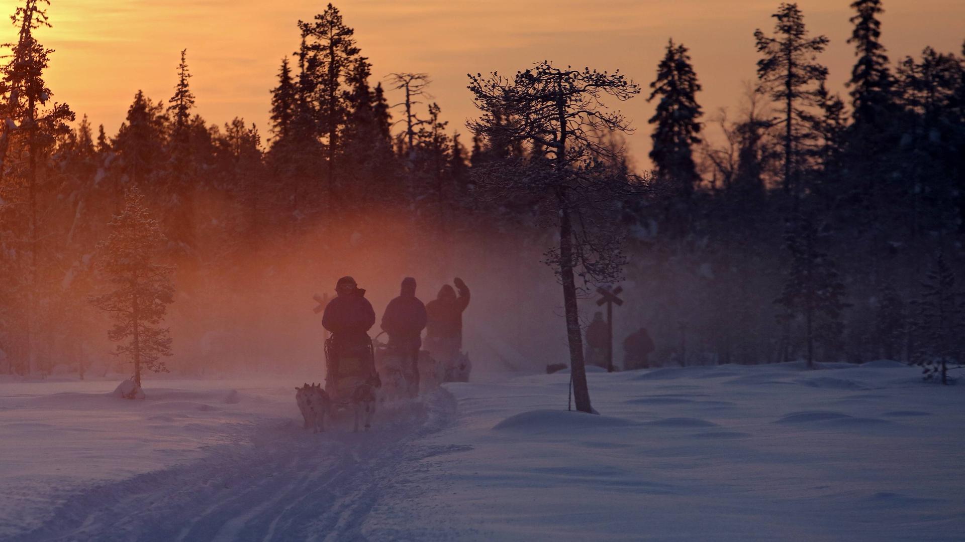 Menschen fahren bei Sonnenuntergang mit Hundeschlitten durch die unberuehrte Natur in Aekaeskero, Lappland, Finnland.