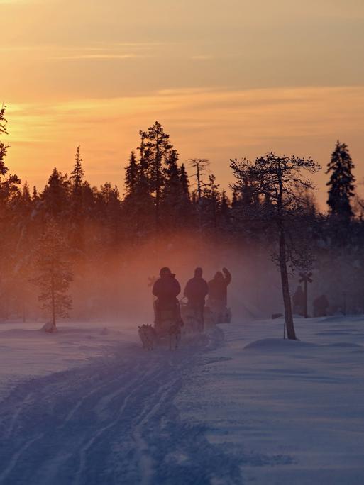 Menschen fahren bei Sonnenuntergang mit Hundeschlitten durch die unberuehrte Natur in Aekaeskero, Lappland, Finnland.