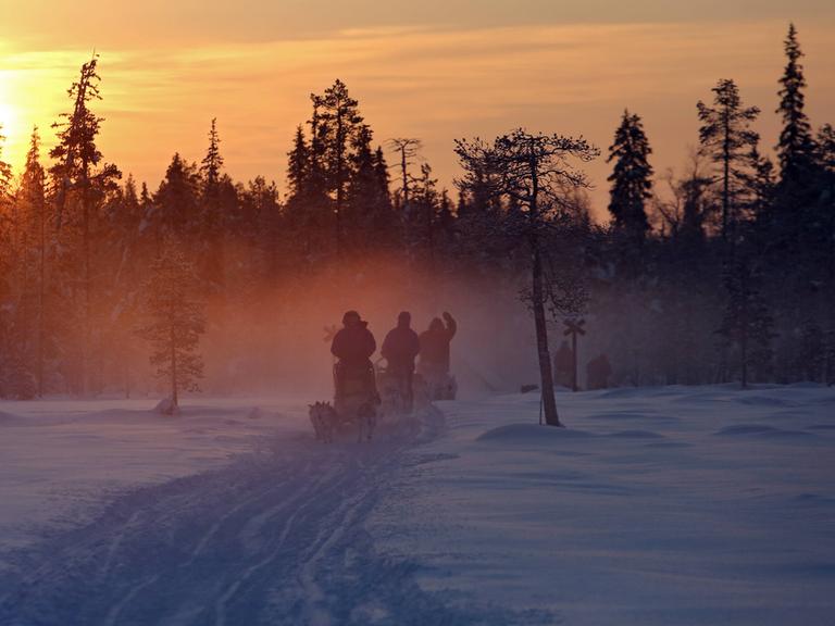 Menschen fahren bei Sonnenuntergang mit Hundeschlitten durch die unberuehrte Natur in Aekaeskero, Lappland, Finnland.