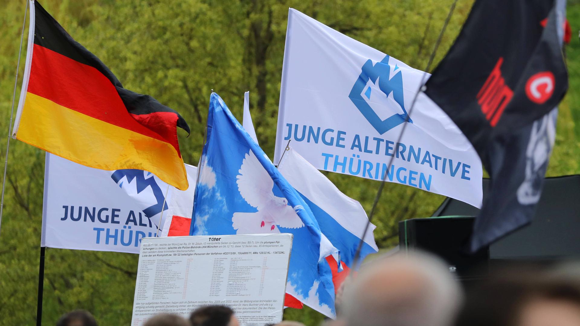 Demo der AfD mit vielen Fahnen