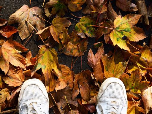 Unter den Schuhen einer Person sind Ahornblätter zu sehen.