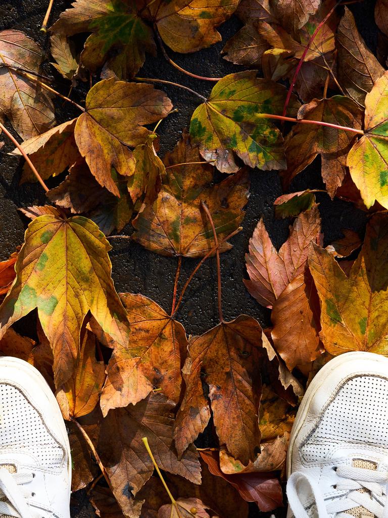 Unter den Schuhen einer Person sind Ahornblätter zu sehen.