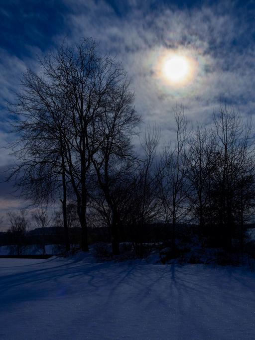 Nachthimmel mit Mond, der durch einen Baum in verschneiter Landschaft scheint