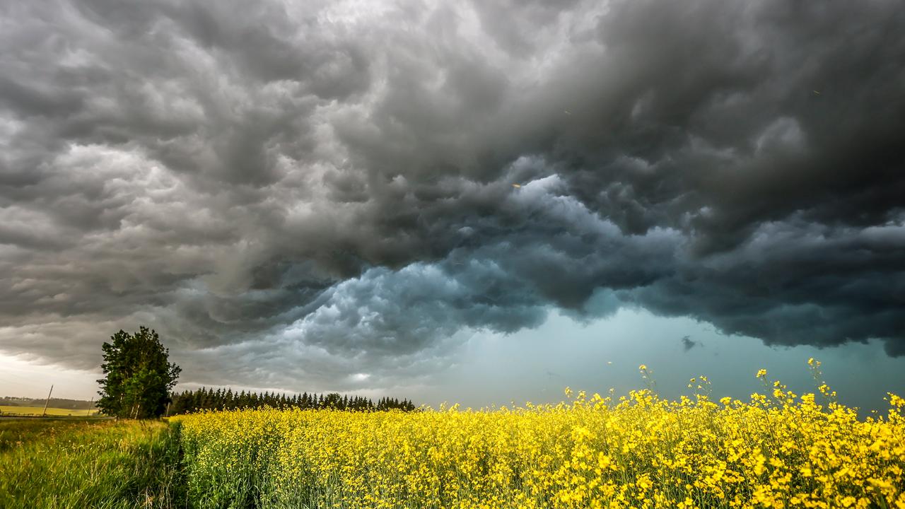 Sturmwolken bilden sich über einem Feld nahe Cremona, Alberta in Kanada (Juli 2022).