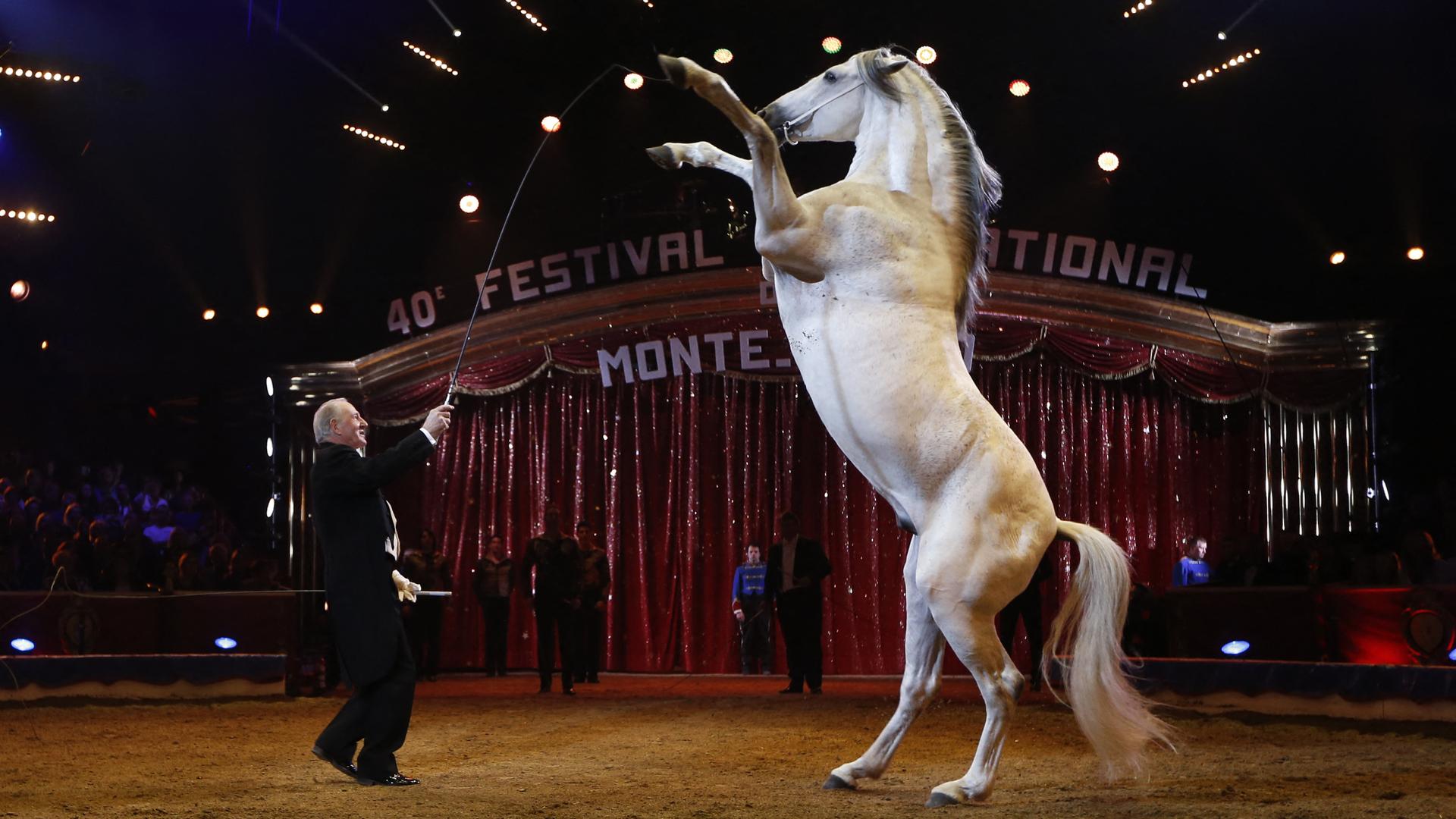 Alexis Gruss beim Zirkusfestival in Monte-Carlo 2016. Er bringt ein Pferd dazu, zu steigen. Alexis Gruss beim Zirkusfestival in Monte-Carlo 2016. Er bringt ein Pferd dazu, zu steigen.