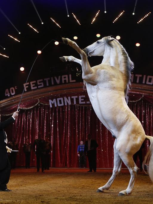 Alexis Gruss beim Zirkusfestival in Monte-Carlo 2016. Er bringt ein Pferd dazu, zu steigen.