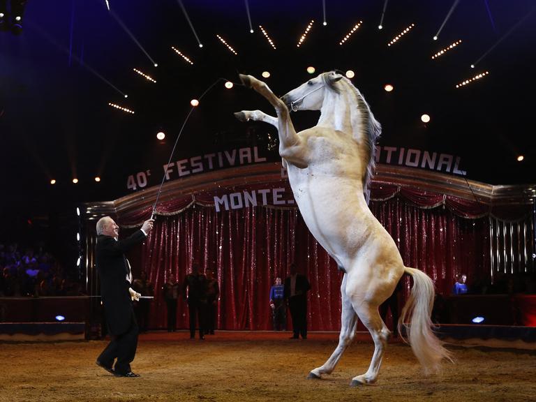 Alexis Gruss beim Zirkusfestival in Monte-Carlo 2016. Er bringt ein Pferd dazu, zu steigen.