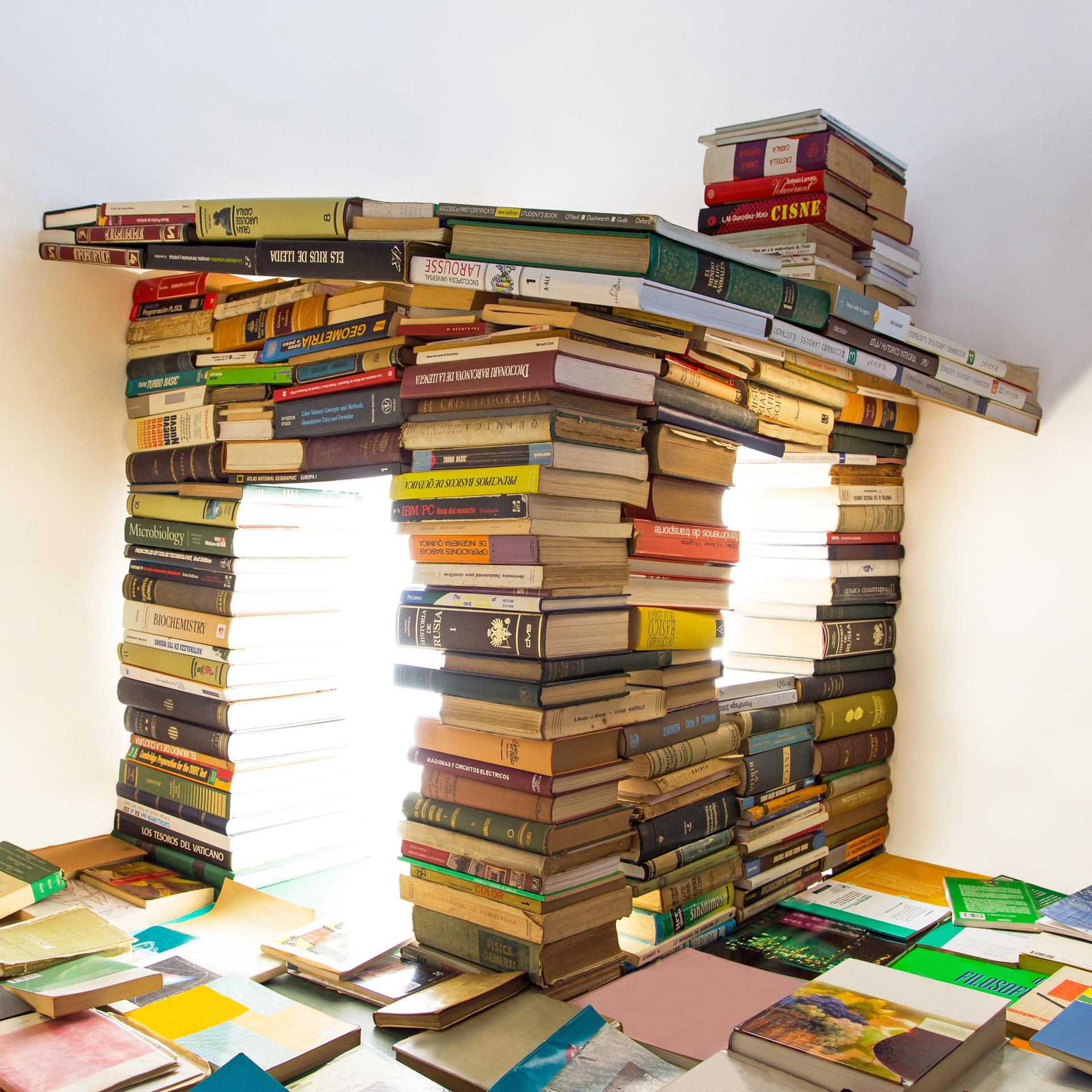 TikTok statt Tolkien - Lehrer und Influencer Bob Blume kämpft gegen die Lesekrise