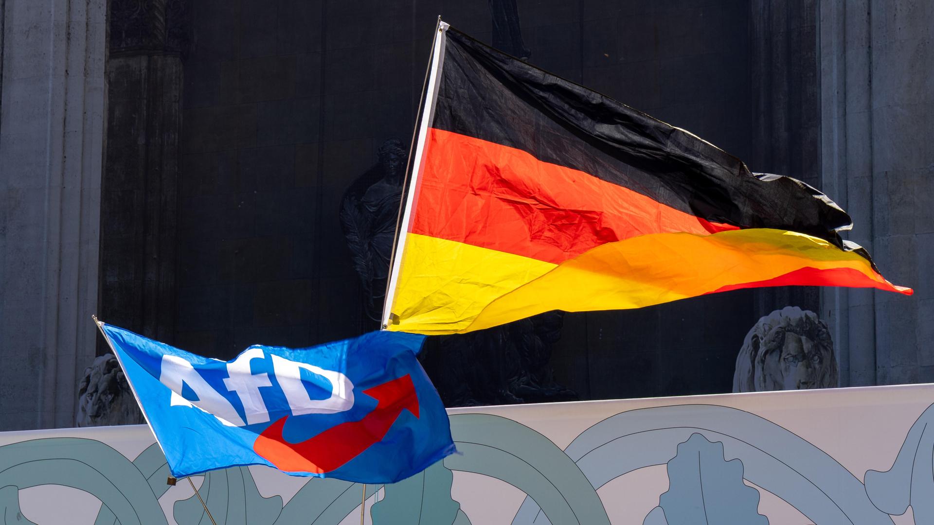 Ein Deutschlandfahne und eine Fahne mit dem Logo der AfD werden während einer Demo durch die Luft geschwenkt.