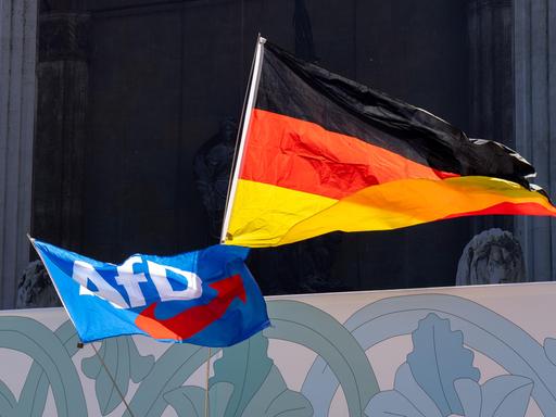 Ein Deutschlandfahne und eine Fahne mit dem Logo der AfD werden während einer Demo durch die Luft geschwenkt.