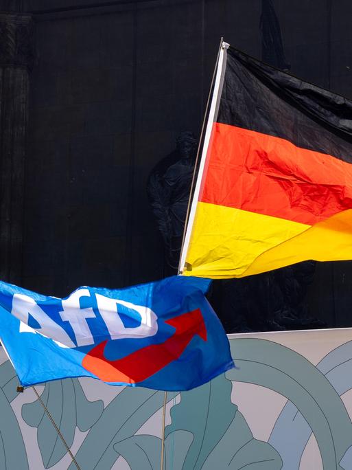 Ein Deutschlandfahne und eine Fahne mit dem Logo der AfD werden während einer Demo durch die Luft geschwenkt. Ein Deutschlandfahne und eine Fahne mit dem Logo der AfD werden während einer Demo durch die Luft geschwenkt.