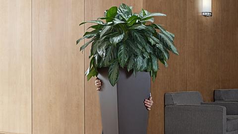 Eine Person versteckt sich hinter einer Büropflanze und versucht so an einem Exit-Schild vorbei Richtung Ausgang zu gehen.
