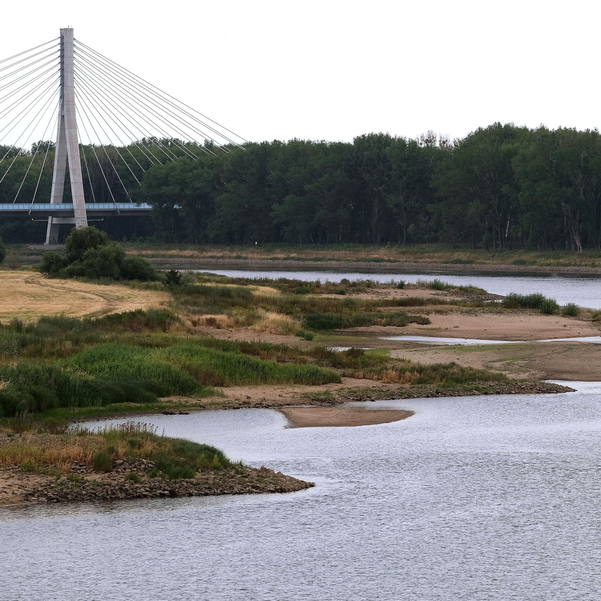 Wasserknappheit - Warum die Elbe die Spree retten soll
