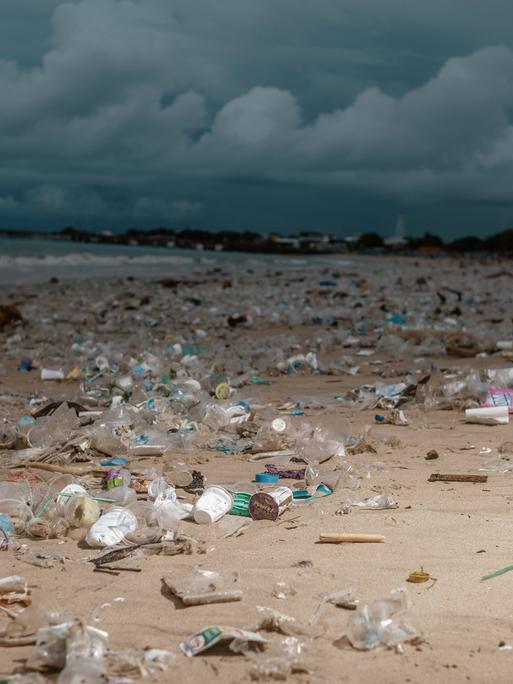 Das Bild zeigt Plastikmüll am Strand von Indonesien