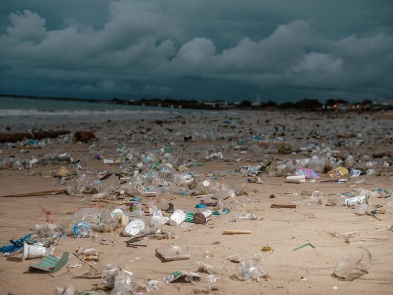 Das Bild zeigt Plastikmüll am Strand von Indonesien