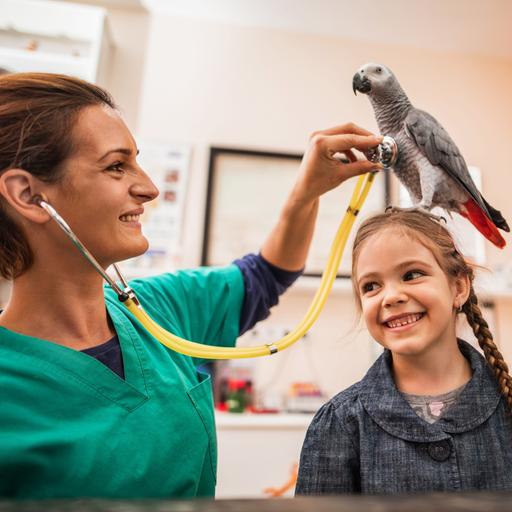 Lächelnde Tierärztin untersucht einen Papagei, der auf dem Kopf eines kleinen Mädchens sitzt, während der Vater des Mädchens neben ihr steht.