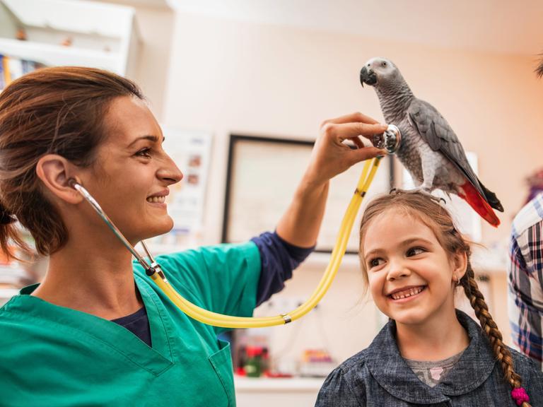 Lächelnde Tierärztin untersucht einen Papagei, der auf dem Kopf eines kleinen Mädchens sitzt, während der Vater des Mädchens neben ihr steht.
