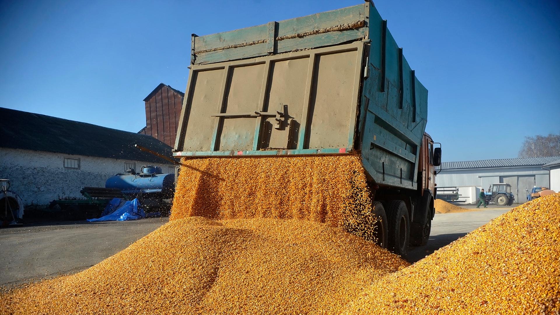 Getreide aus der Ukraine wird aus einem LKW auf einen Platz geladen.