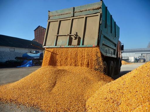Getreide wird von einem LKW geladen