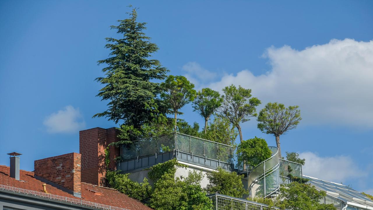 Die neue soziale Frage - Wer sich grünes Wohnen leisten kann