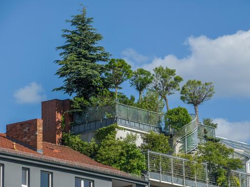 Ein grüner Dachgarten auf einem Mehrfamilienwohnhaus in Charlottenburg, Berlin.