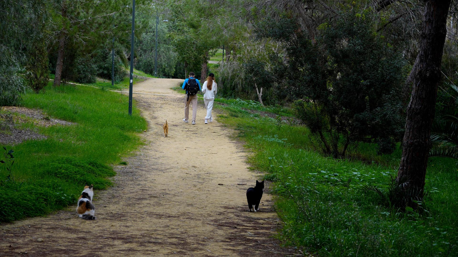 Ein Mann und eine Frau gehen durch den Athalassa Park in der zypriotischen Hauptstadt Nicosia.