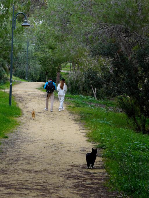 Ein Mann und eine Frau gehen durch den Athalassa Park in der zypriotischen Hauptstadt Nicosia.