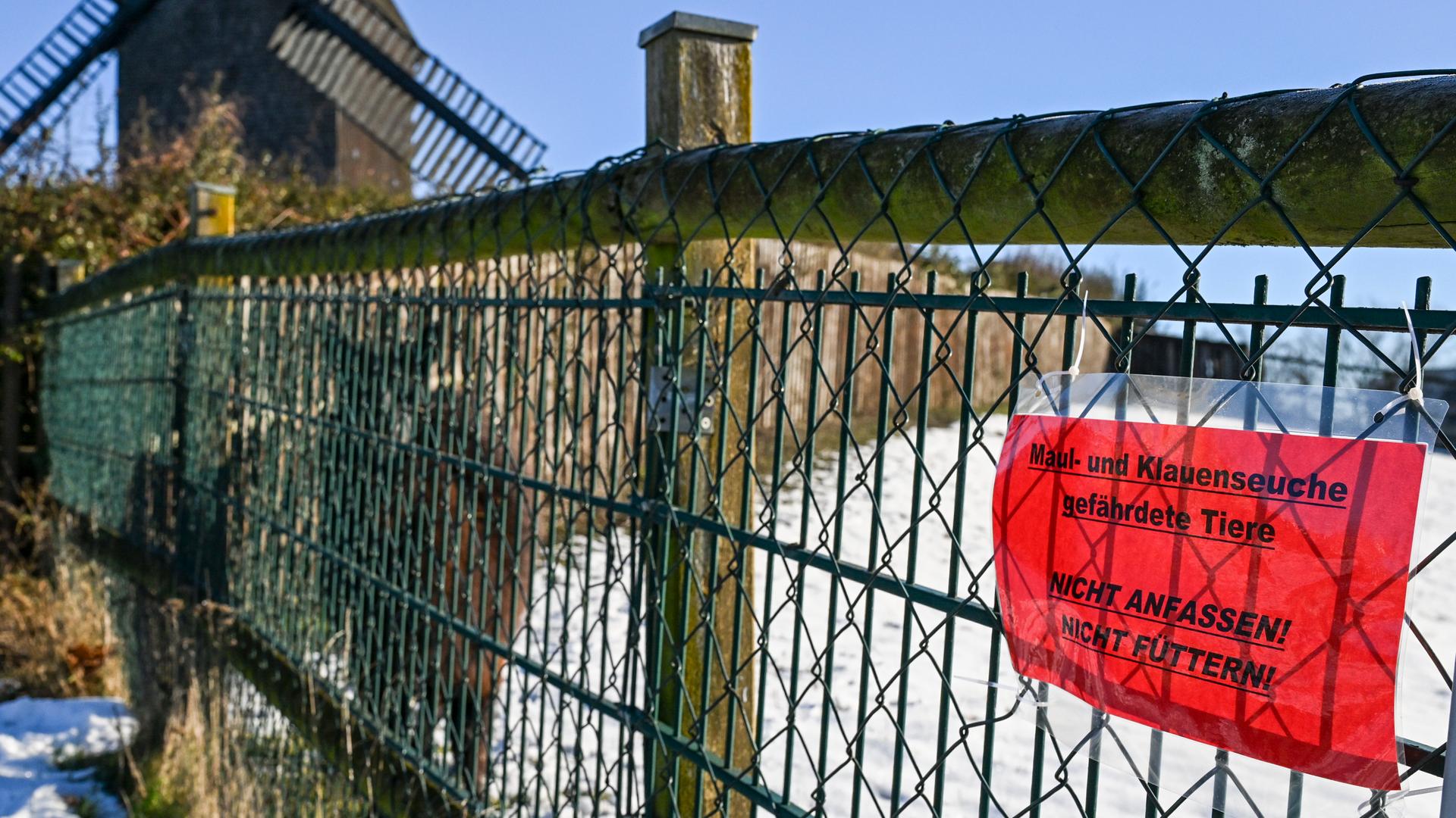 Ein Schild weist am Gehege eines Alpakas im Tierhof Alt-Marzahn auf die durch die Maul- und Klauenseuche gefährdeten Tiere hin. Sie sollen nicht gefüttert und nicht angefasst werden.