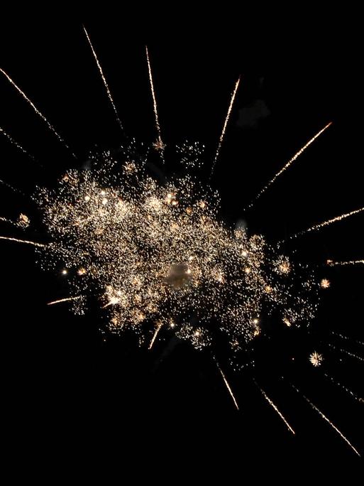Im dunklen Nachthimmel explodiert ein Feuerwerkskörper. Im inneren kreisförmig und wolkenartig, nach außen hin sternförmig.