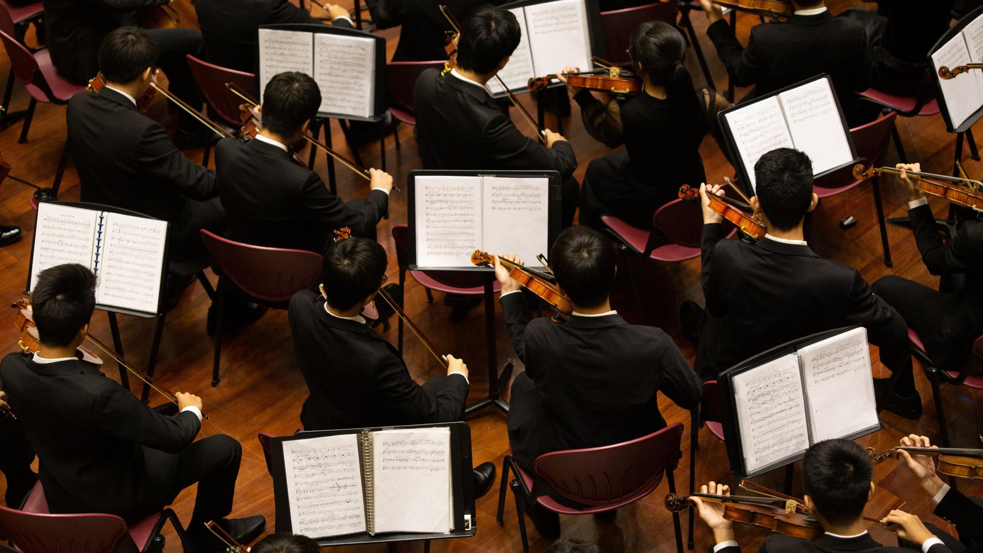 Wir sehen die Streicher-Sektion eines Orchesters. 