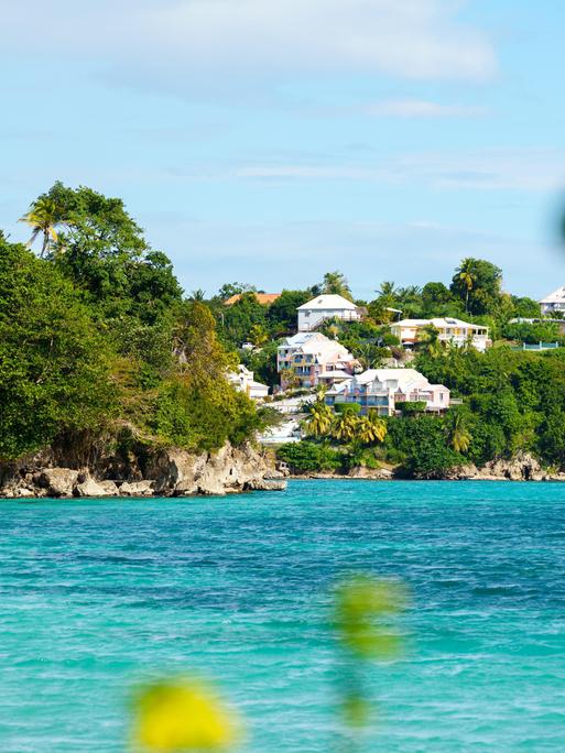 Wohnhäuser an der Küste von Pointe-à-Pitre auf Guadeloupe in der Karibik umgeben von tropischer Vegetation.