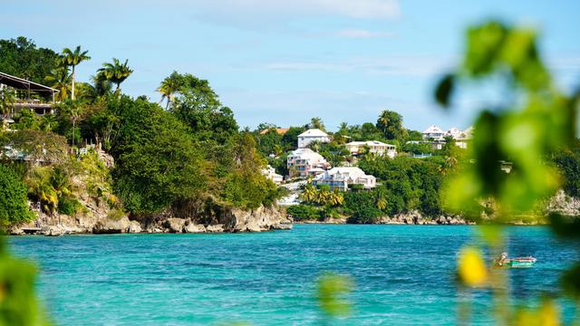 Wohnhäuser an der Küste von Pointe-à-Pitre auf Guadeloupe in der Karibik umgeben von tropischer Vegetation.