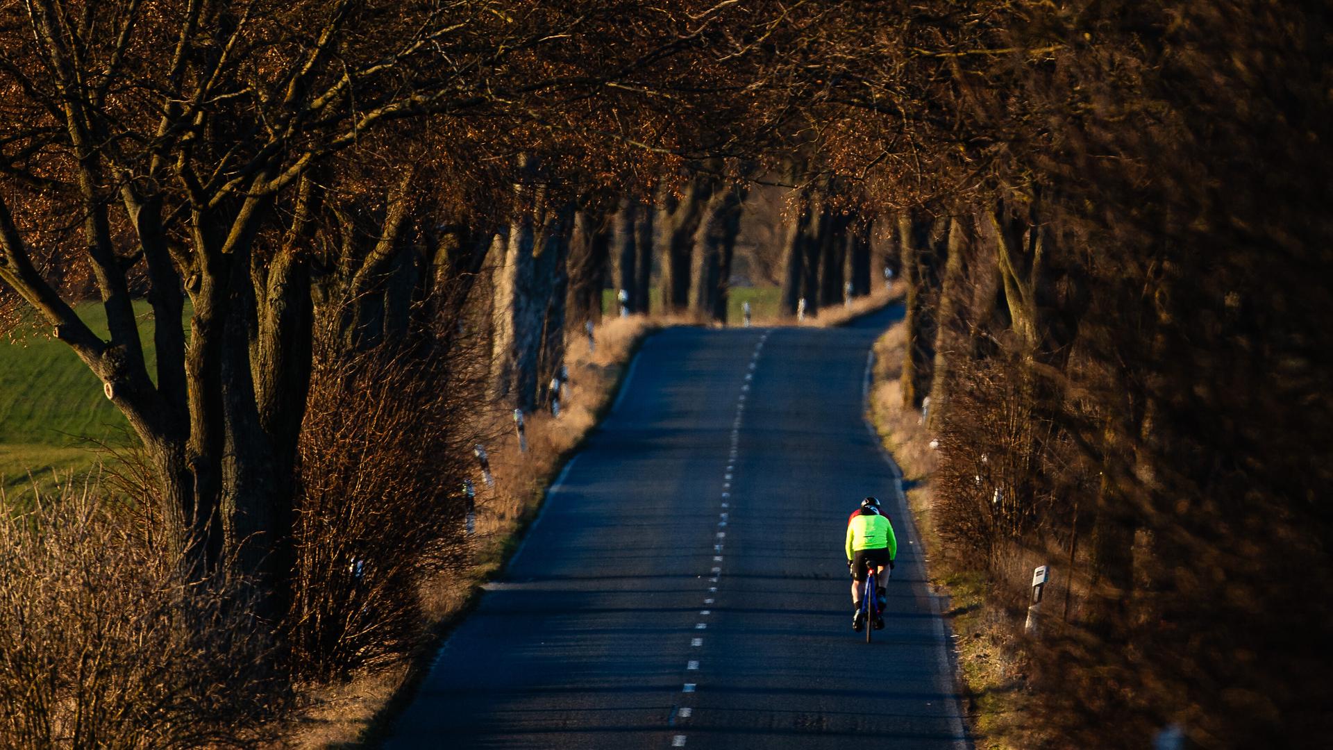 Fahrradfahrer auf einer Landstraße in Brandenburg.