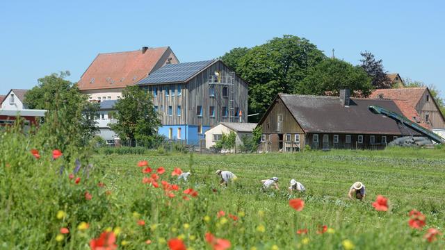 Auf einem Feld vor dem Ökodorf Schloss Tempelhof arbeiten mehrere Menschen. Im Hintergrund sind Gebäude des Dorfes zu sehen.