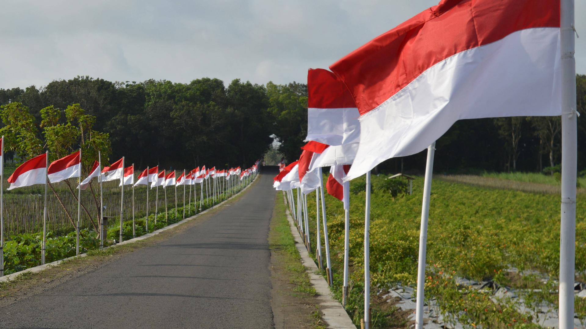 Das Foto zeigt mehrere indonesische Flaggen am Straßenrand.