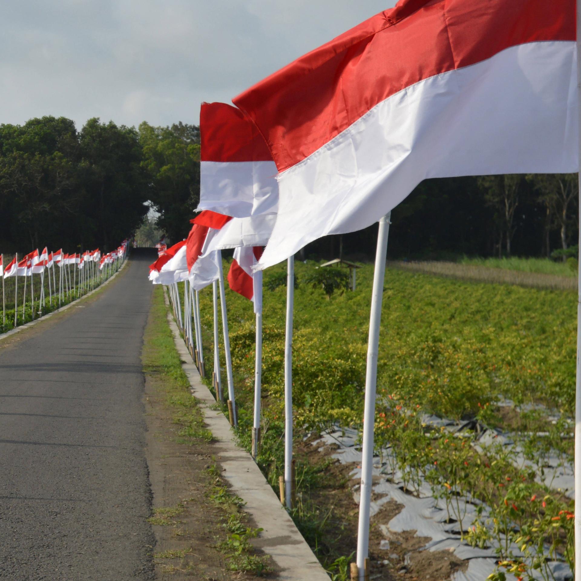 Das Foto zeigt mehrere indonesische Flaggen am Straßenrand.